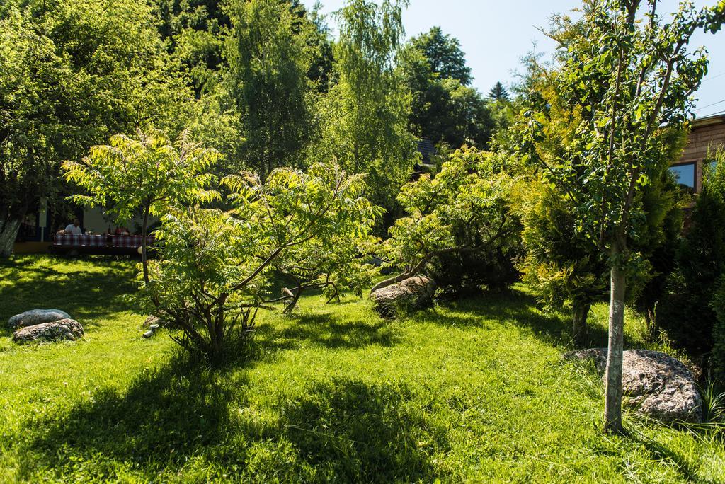 Pensiunea Hanul Oierului 布朗 外观 照片